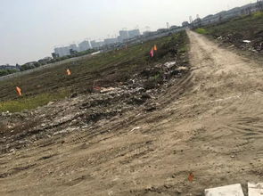 噪音与尘埃交织