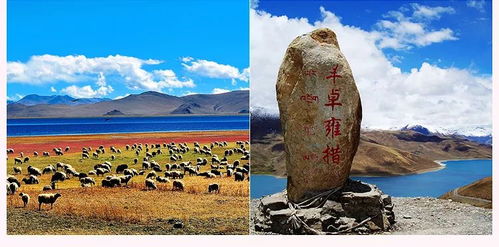 旧城区漫步：不小心走丢也无妨