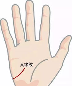 手相真的能看出命运吗？看左手还是右手更准确？