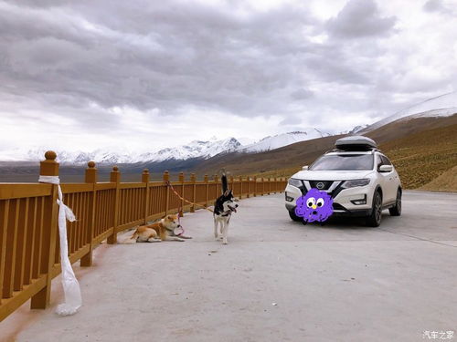 都江堰青城山：诗意的生活