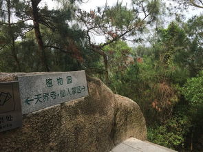 我们要聊聊那个让人又爱又恨的黄埔水声水库