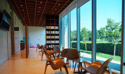 服务项目笑skr人