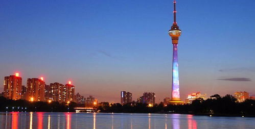 登塔后的悲惨遭遇