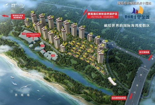 钦州港这破地方有啥好玩的？连狗都不去！