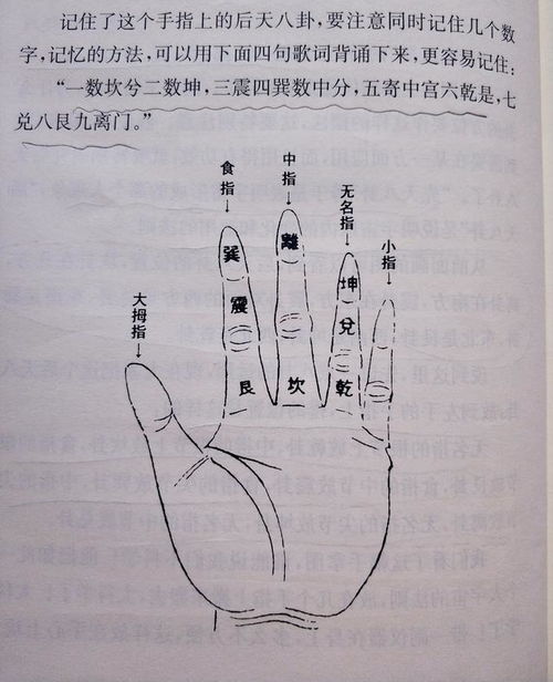 五行八卦在手上的具体位置分别是什么？