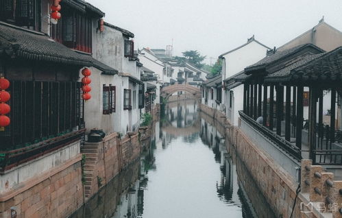 江南水乡的迷雾——到底是哪座城区藏着惊喜宝藏？