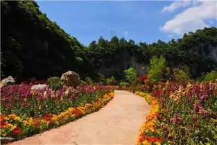 花海：女生的拍照圣地