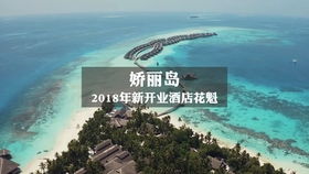 救命啊！这个破攻略不看会死！
