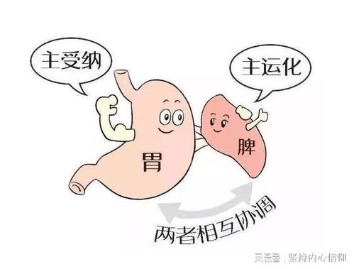 如何通过画八字锻炼改善八字脾胃不好状况？