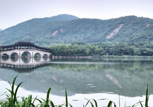 免费入口的背后：谁在为我们守护？