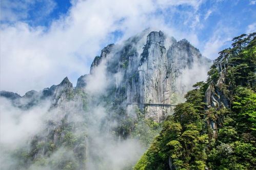 羊狮慕：空气清新到想打嗝