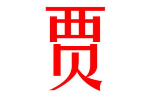 贾姓宝宝取名：风水角度的考量