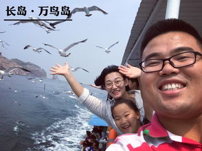 开场白：机灵姐的“腿”到底怎么了？