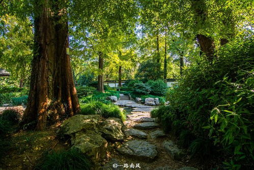 环保游览，从我做起