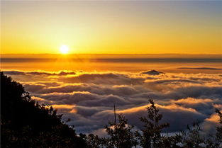 阿里山：云海与日出