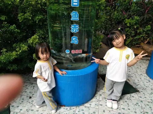 一、 乱七八糟的亲子旅行开场白——情感炸裂的“错误”入口
