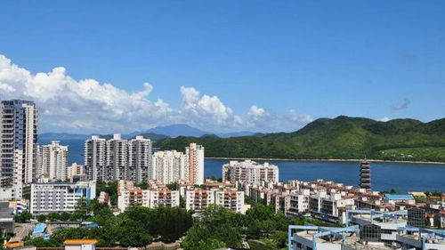 沉重磅开放：码头的魅力