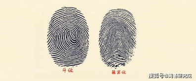 一、斗纹到底是个啥子玩意儿？