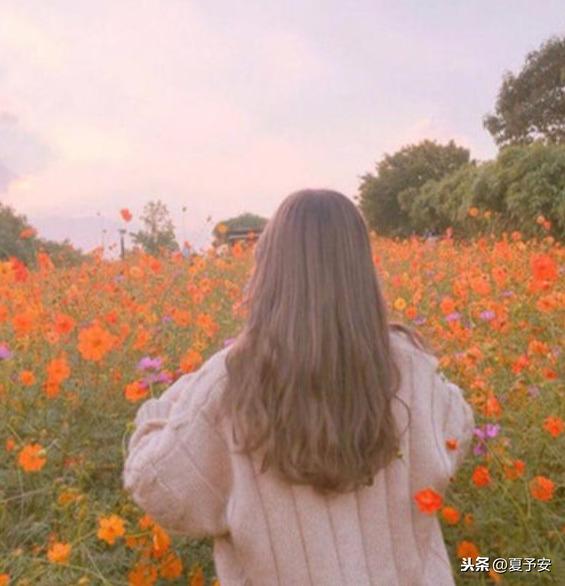 梦幻情感与生活片段