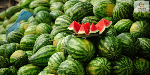 板子房西瓜：夏日消暑佳品