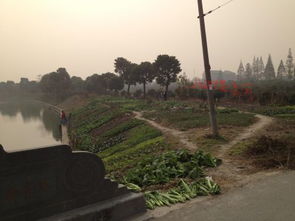 风水厂房边上有河流,厂子北边有条河风水
