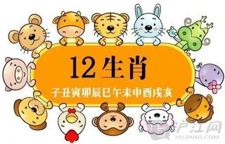 拭目倾耳，哪个生肖嫩一语道破？