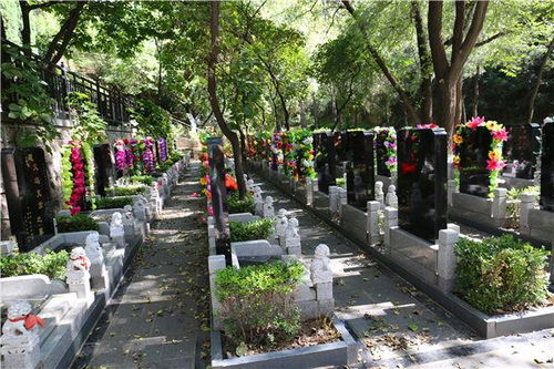 怎样择墓地,怎样择墓地