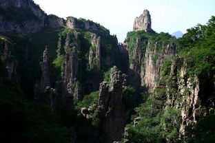 这风景到底值不值？王莽岭的云海、日出、奇峰、松涛...