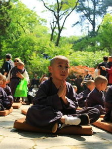 2. 视觉冲击：