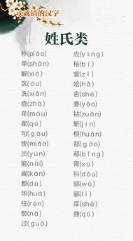 3.1 爸爸的暗号——《我的保密》式命名法