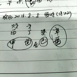 汤家小少爷的玄学起名大作战