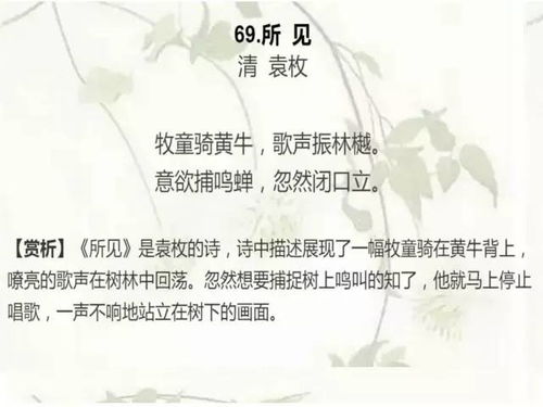 古词唱风起源揭秘，千年传承成爆款现象