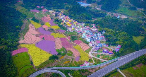 景区特色与亮点 (亮点在哪儿?)