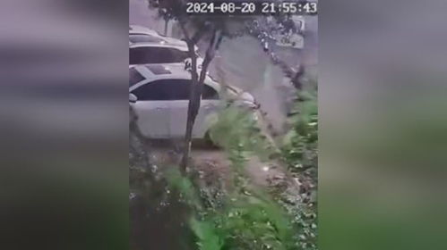 梦见狂风大作将家门吹毁，这是否预示着即将发生什么不幸的事情？