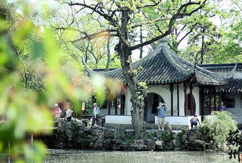 二、 拙政园：江南园林的巅峰之作