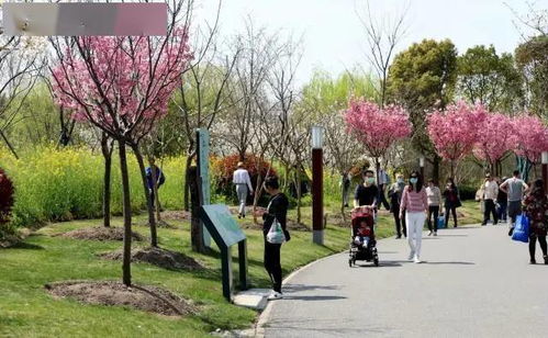 龙湖上海宝山天街的春日盛宴 (人也太多了!)
