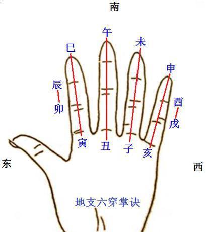 八字地支六害具体是哪六个地支，它们之间有何特殊关系？