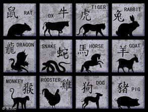 十二生肖未来三月运势查询，每月运势明细表具体是什么内容？