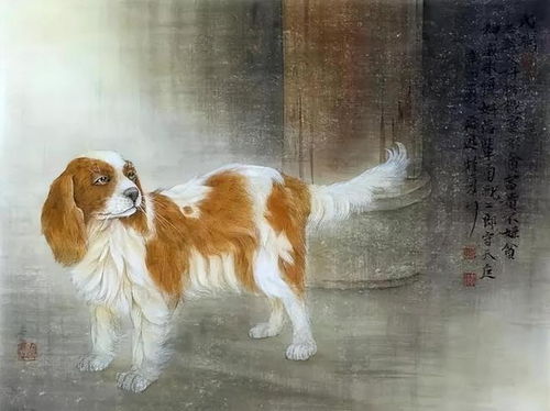 1. 冲动投资风险高