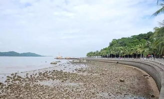 艺术与浪漫的交融——珠海大剧院