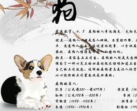 属狗申时出生的男孩命运如何？