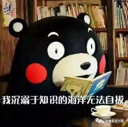 玩偶的微笑（其实是狮子座的狂笑）