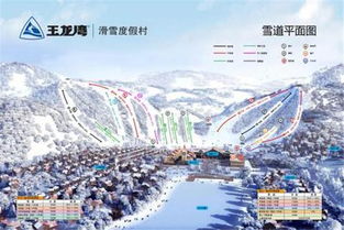 门票市场价格到底是更多更少个？