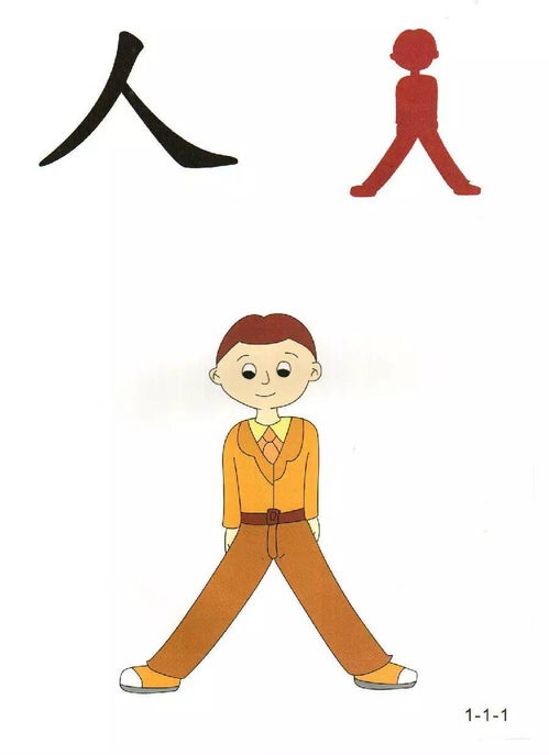 “朵漫”， 如花般绽放