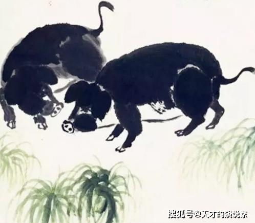 将体无完肤打一生肖，是哪个生肖尾巴特长？
