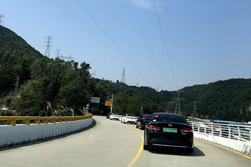 噪音点滴：风吹草原、 牛叫声、较小孩笑闹