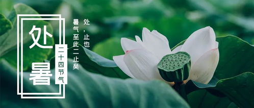 处暑习俗，古今交融，生活爆款！