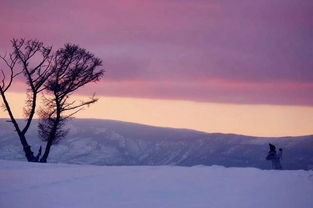 六、 夜幕降临时分——星空下的《星河吟》