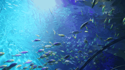 海昌海洋公园：深海惊魂