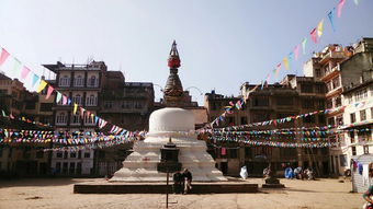 三、住宿大冒险：潮到能养鱼的房间